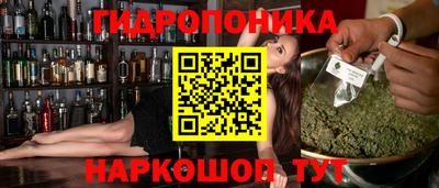 индика Кимры