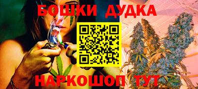 индика Кимры