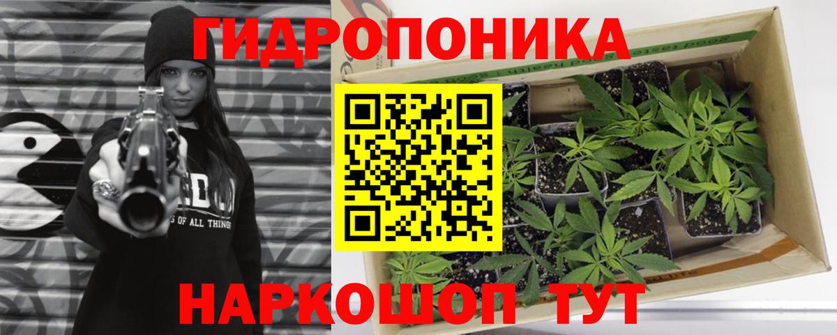Шишки марихуана White Widow  Марихуана марихуана  Вход с VPN  Избербаш  Канабис гибрид 